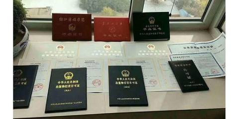 朝陽區網絡文化經營許可證辦理指南